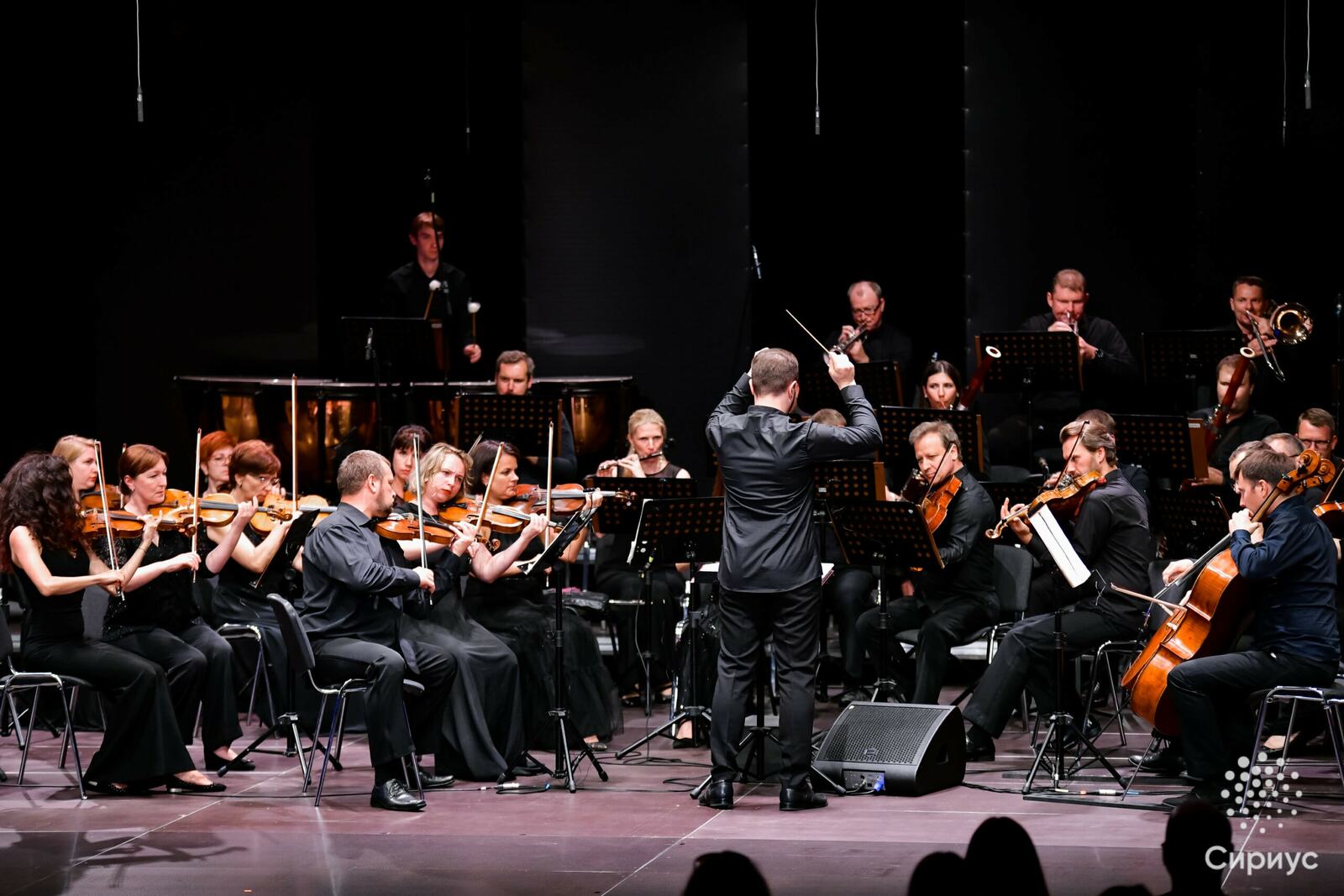 Продлён срок приема заявок на конкурс в Сочинский симфонический оркестр